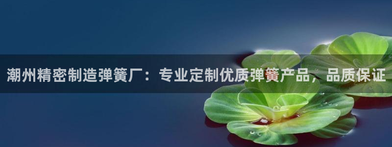 彩神网能赚钱是怎么回事：潮州精密制造弹簧厂：专业定制优质弹簧产品，品质保证