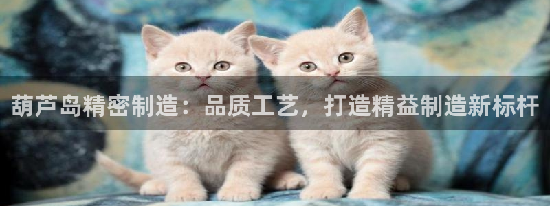 彩神ios下载：葫芦岛精密制造：品质工艺，打造精益制造新标杆