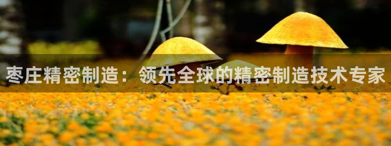 彩神ix平台：枣庄精密制造：领先全球的精密制造技术专家
