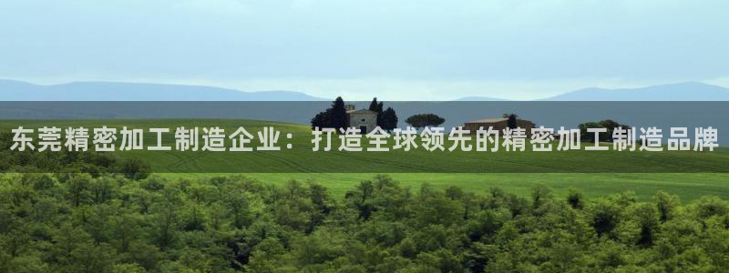 彩神ii官方网：东莞精密加工制造企业：打造全球领先的精密加工制造品牌
