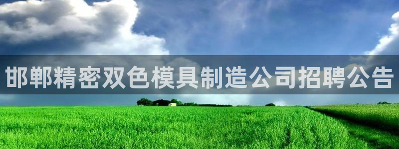 彩神平台：邯郸精密双色模具制造公司招聘公告