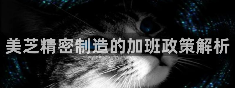 彩神v争霸有限公司：美芝精密制造的加班政策解析