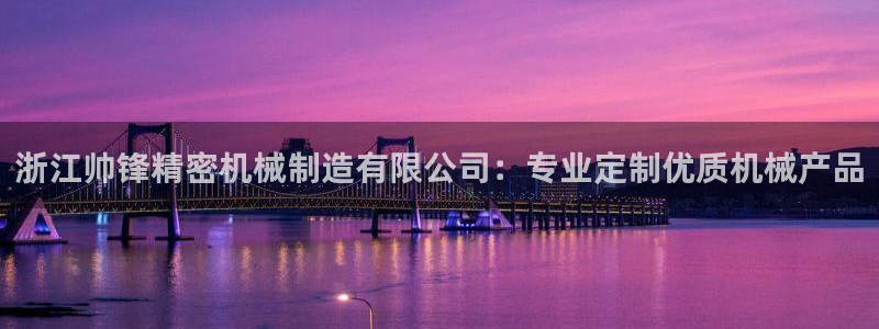 彩神8官网版是正规的吗：浙江帅锋精密机械制造有限公司：专业定制优质机械产品