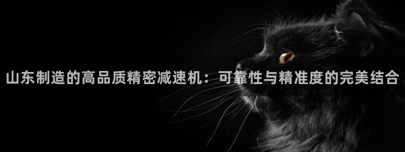 彩神ix是真的吗：山东制造的高品质精密减速机：可靠性与精准度的完美结合
