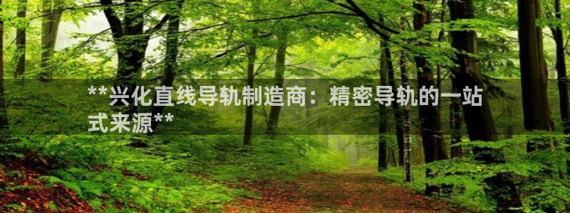 彩神购彩-购彩大厅入口500：**兴化直线导轨制造商：精密导轨的一站
式来源**