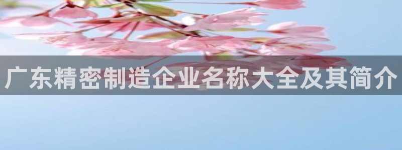 天天彩神welcome：广东精密制造企业名称大全及其简介