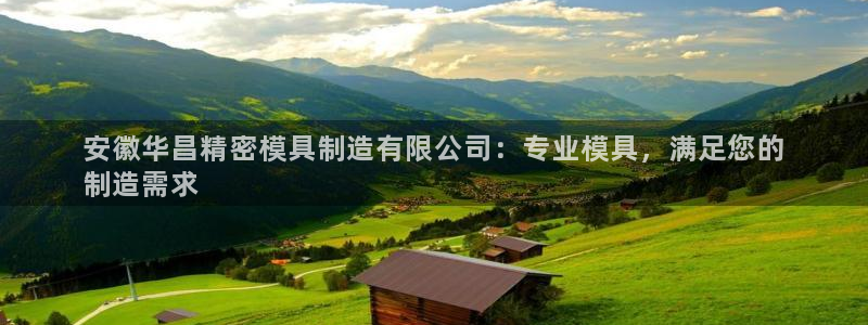 彩神邀请码:00-00-3267：安徽华昌精密模具制造有限公司：专业模具，满足您的
制造需求